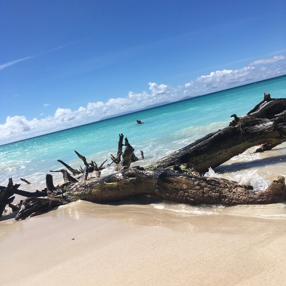 Meet your Posher, Lexie